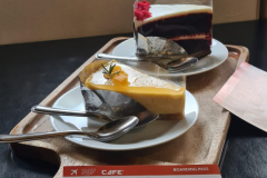 Screenshot_20240415_110739_Gallery