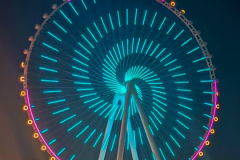 Screenshot_20250120_074340_Gallery
