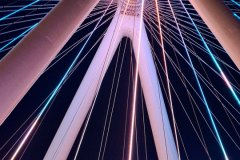 Screenshot_20250121_184513_Gallery