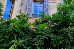 Screenshot_20240830_095820_Gallery