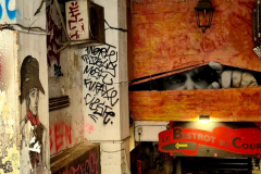 Screenshot_20240830_095900_Gallery