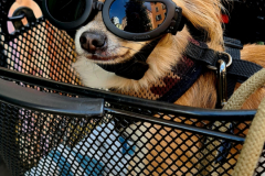 Screenshot_20240830_100029_Gallery