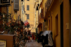 Screenshot_20240830_100457_Gallery