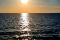 Screenshot_20240830_100832_Gallery