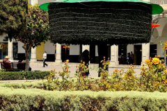 Screenshot_20241209_162702_Gallery