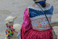 Screenshot_20241210_145300_Gallery