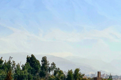 Screenshot_20241210_145934_Gallery