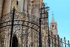 Screenshot_20241211_095613_Gallery