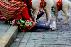 Screenshot_20241211_160017_Gallery