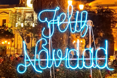 Screenshot_20241211_173622_Gallery