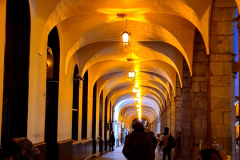 Screenshot_20241211_173647_Gallery