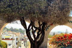 Screenshot_20241211_173857_Gallery