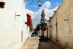 Screenshot_20241211_173911_Gallery