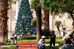 Screenshot_20241211_174152_Gallery