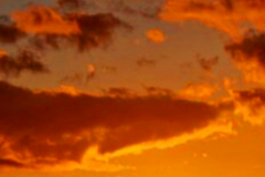 Screenshot_20240807_103429_Gallery