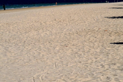 Screenshot_20250124_170326_Gallery