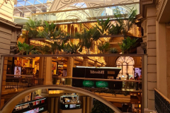 Screenshot_20241127_131648_Gallery