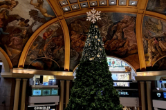 Screenshot_20241127_131742_Gallery