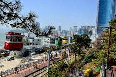 Screenshot_20240403_080228_Gallery