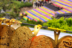 Screenshot_20240403_081323_Gallery