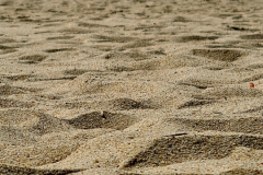 Screenshot_20240403_081443_Gallery