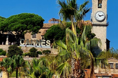 Screenshot_20240831_144430_Gallery