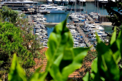 Screenshot_20240831_144927_Gallery