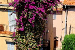 Screenshot_20240831_145109_Gallery