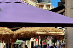 Screenshot_20240831_145257_Gallery