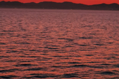 Screenshot_20240831_145610_Gallery