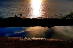 Screenshot_20241127_112956_Gallery
