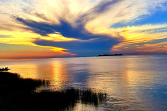 Screenshot_20241127_113042_Gallery