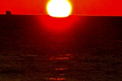 Screenshot_20241128_090006_Gallery