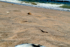 Screenshot_20240503_183428_Gallery