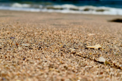 Screenshot_20240503_183432_Gallery