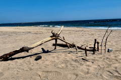 Screenshot_20240503_183437_Gallery