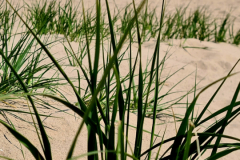 Screenshot_20240503_183449_Gallery