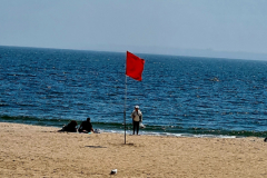 Screenshot_20240503_183526_Gallery