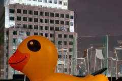 Screenshot_20240416_104011_Gallery-Kopie