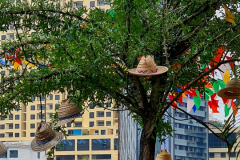 Screenshot_20240416_104443_Gallery-Kopie