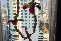 Screenshot_20240416_110121_WhatsApp