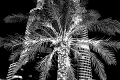 Screenshot_20250115_201317_Gallery