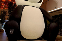 Screenshot_20250127_172328_Gallery