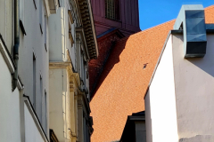 Screenshot_20241013_180259_Gallery-Kopie