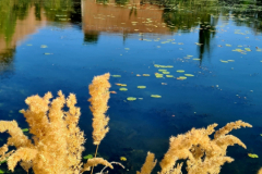 Screenshot_20241013_180322_Gallery-Kopie