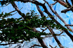 Screenshot_20241201_185422_Gallery