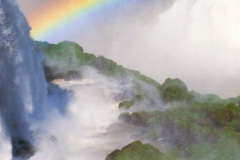 Screenshot_20241113_052938_Chrome