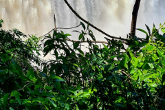 Screenshot_20241113_154147_Gallery