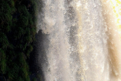 Screenshot_20241113_154759_Gallery