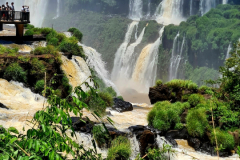 Screenshot_20241113_155138_Gallery